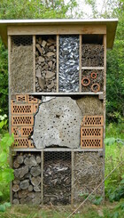 insekthotel