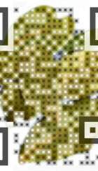 QR kode