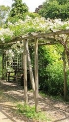 pergola.jpg