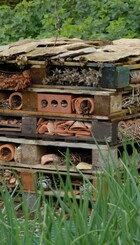 Insekthotel_Foto_Nina_Ewald__www.ninaewald.dk.jpg