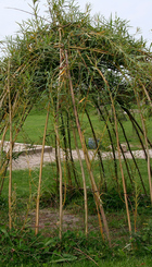 Pilehytte_-_Foto_Lene_Bruun_Clausen__Flickr.jpg